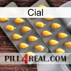 Cial cialis2